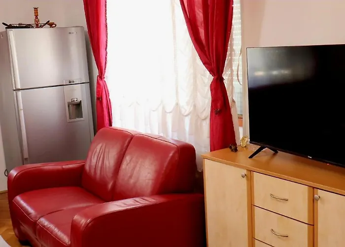 Spasojevic 아파트 *