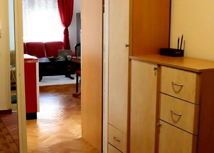 Spasojevic 아파트 *